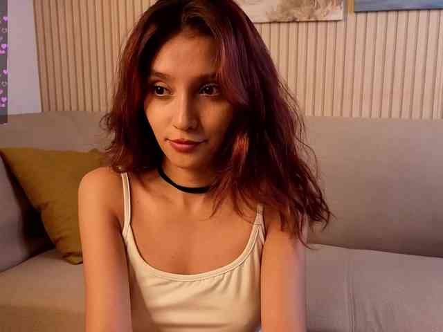 Linaage webcam