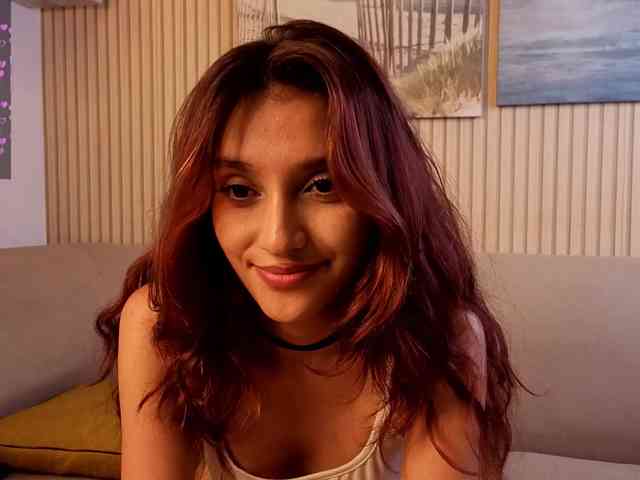 Linaage webcam