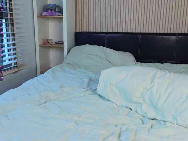 Linaage webcam