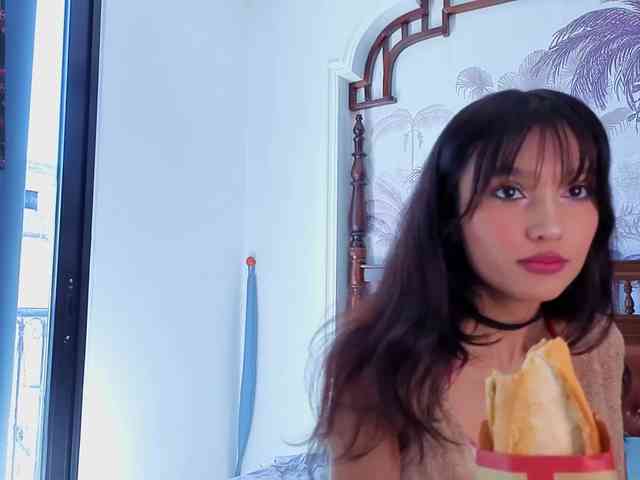 Linaage webcam
