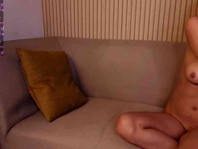 Linaage webcam