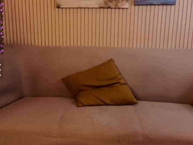 Linaage webcam