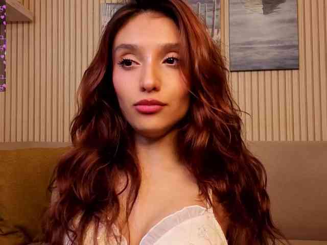Linaage webcam