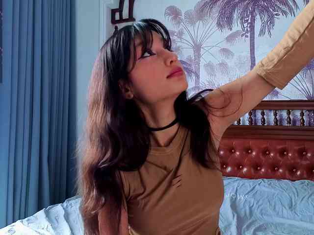 Linaage webcam
