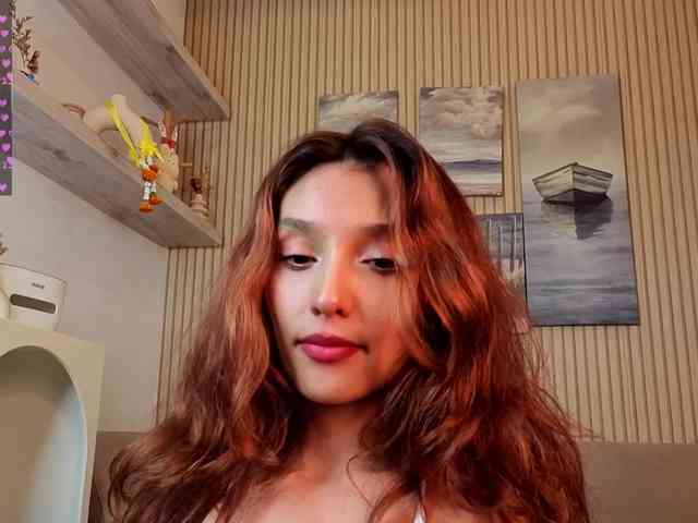 Linaage webcam