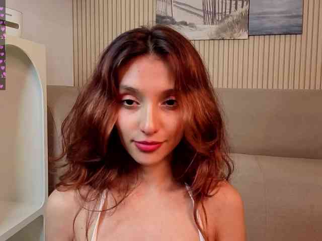 Linaage webcam