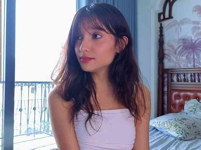 Linaage webcam