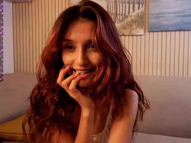 Linaage webcam