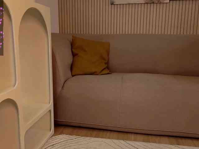 Linaage webcam