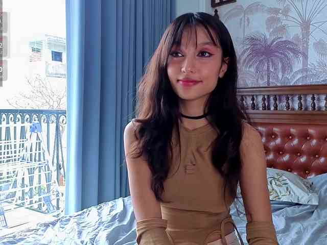 Linaage webcam