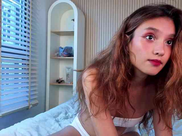Linaage webcam