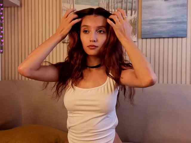 Linaage webcam