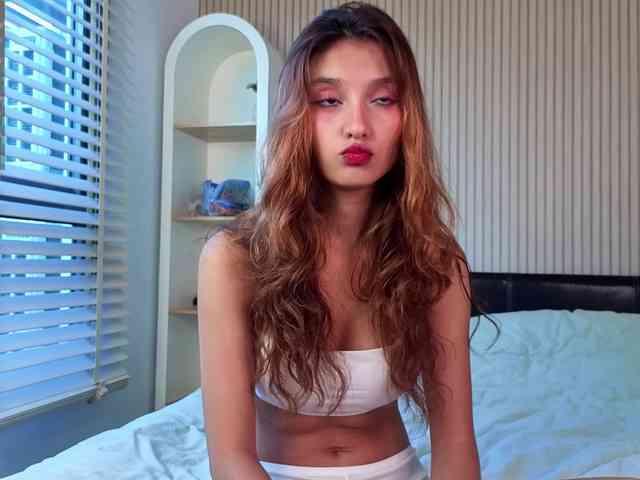 Linaage webcam