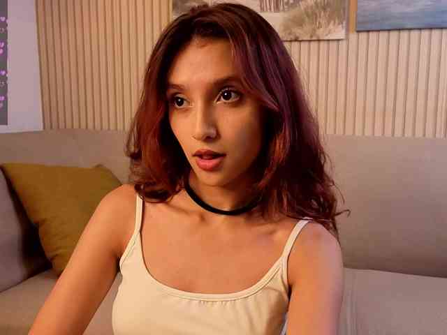 Linaage webcam