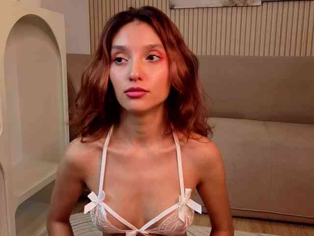 Linaage webcam