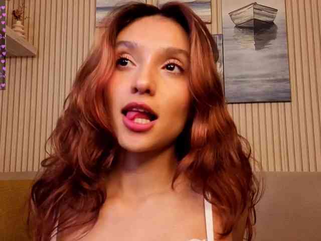 Linaage webcam