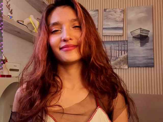 Linaage webcam