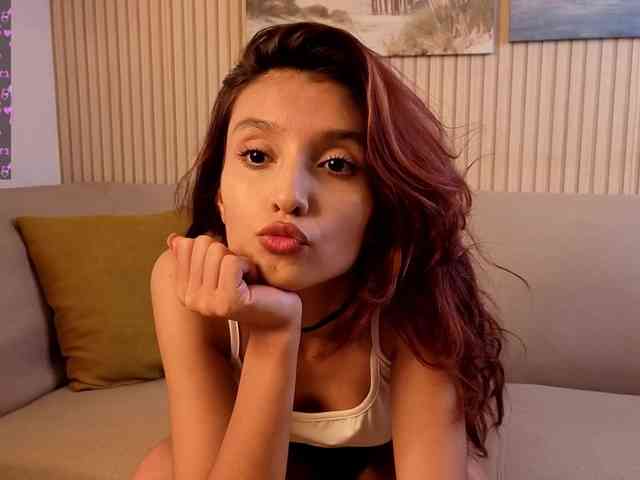 Linaage webcam
