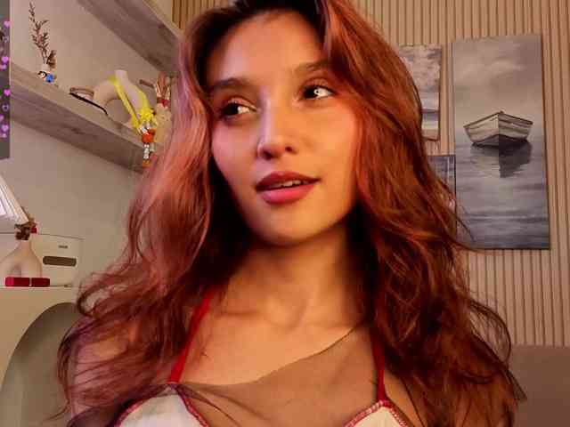 Linaage webcam