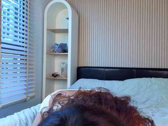 Linaage webcam