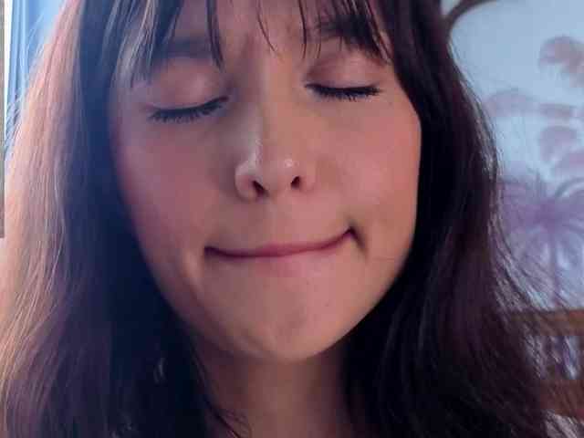 Linaage webcam
