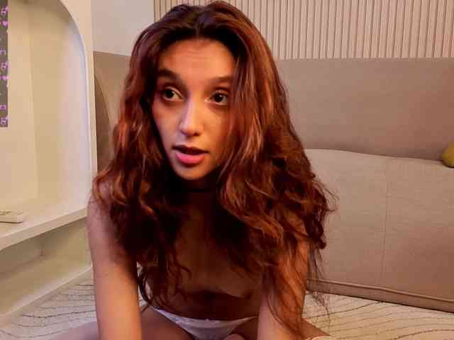 Linaage webcam