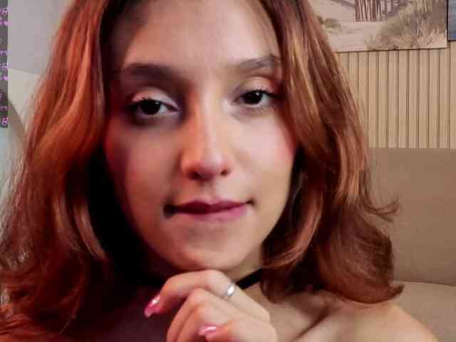 Linaage webcam