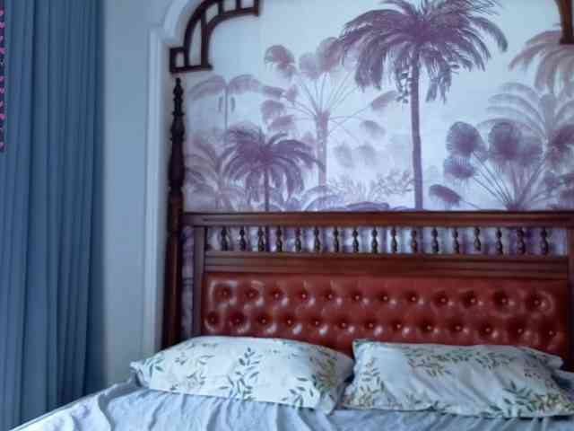 Linaage webcam