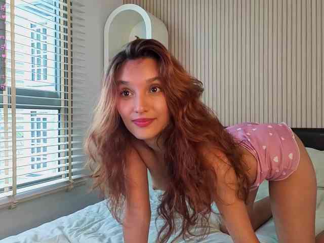 Linaage webcam