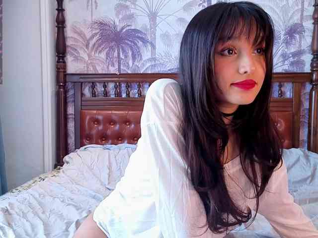 Linaage webcam