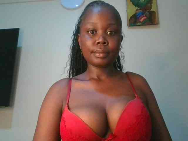 VarlKay webcam