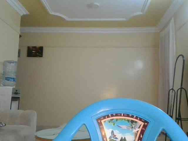 VarlKay webcam