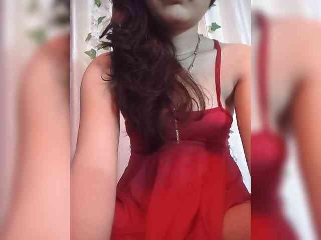 CamX1 webcam