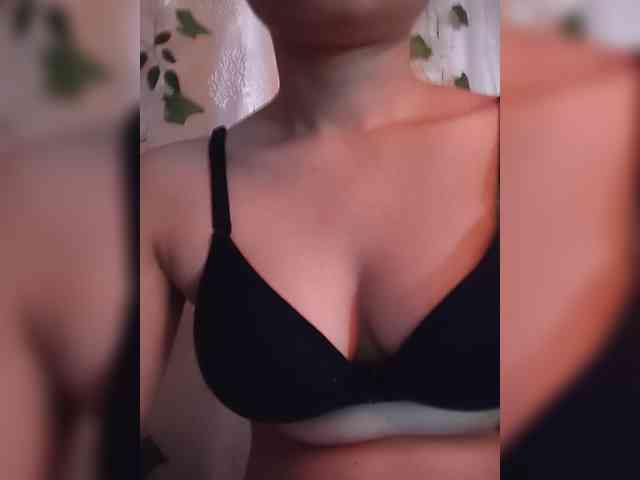 CamX1 webcam