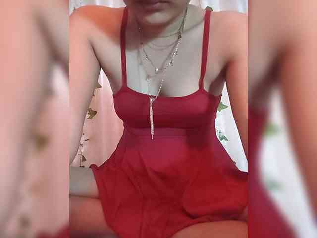 CamX1 webcam