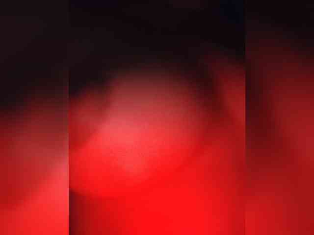 CamX1 webcam