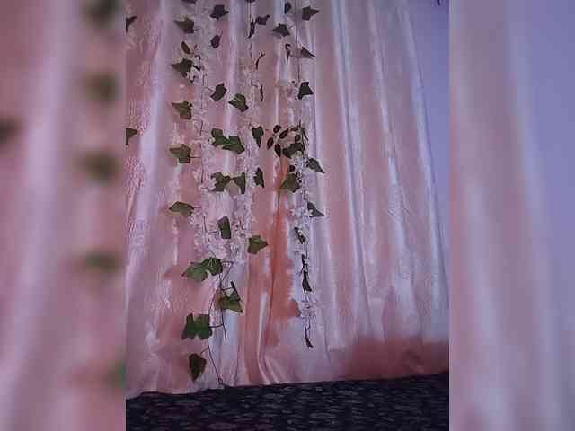 CamX1 webcam