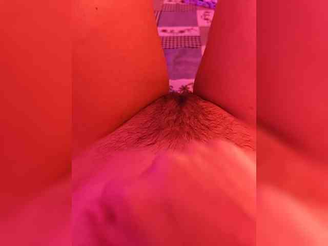 CamX1 webcam