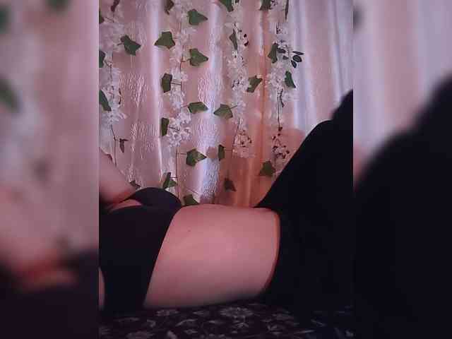CamX1 webcam