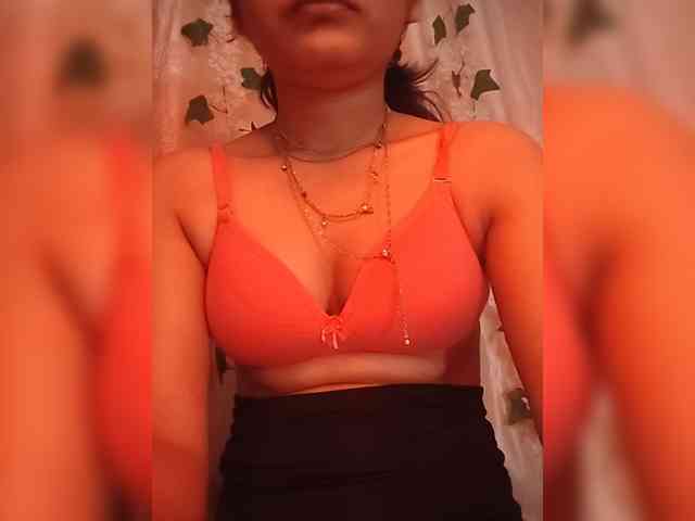 CamX1 webcam