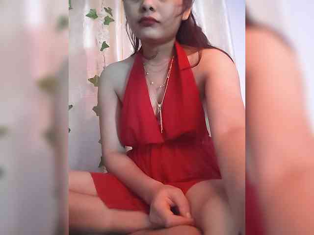 CamX1 webcam