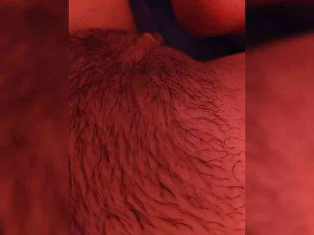 CamX1 webcam