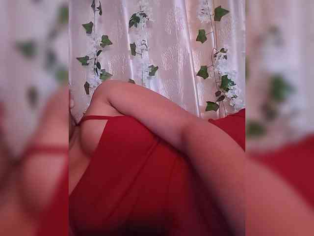 CamX1 webcam