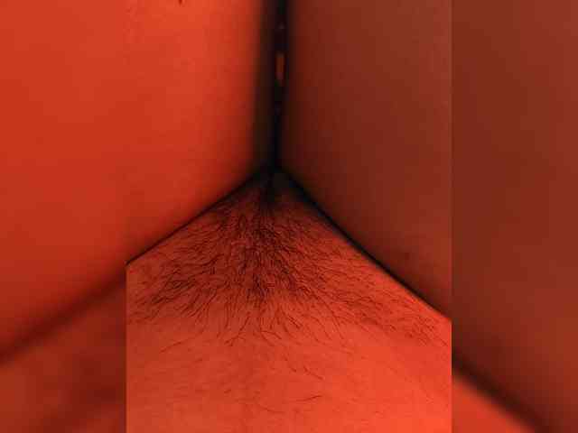 CamX1 webcam