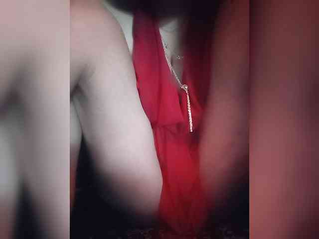CamX1 webcam