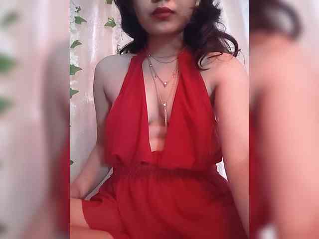 CamX1 webcam