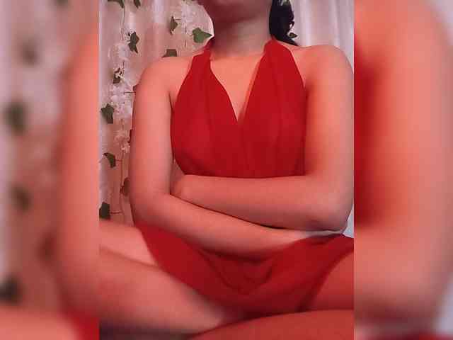 CamX1 webcam
