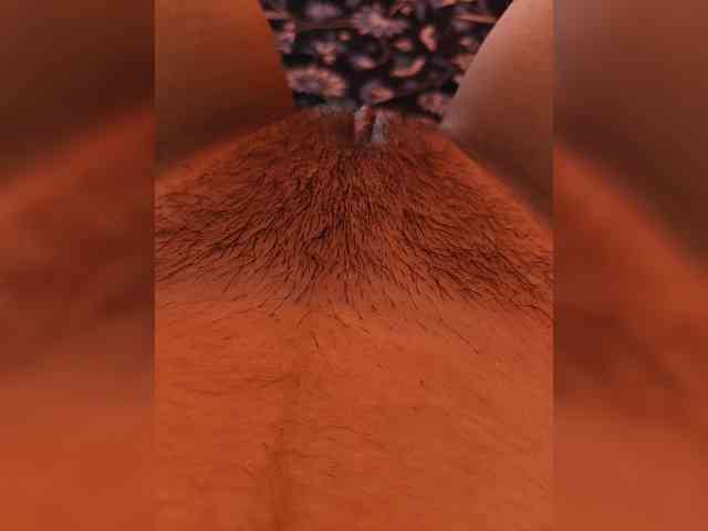 CamX1 webcam