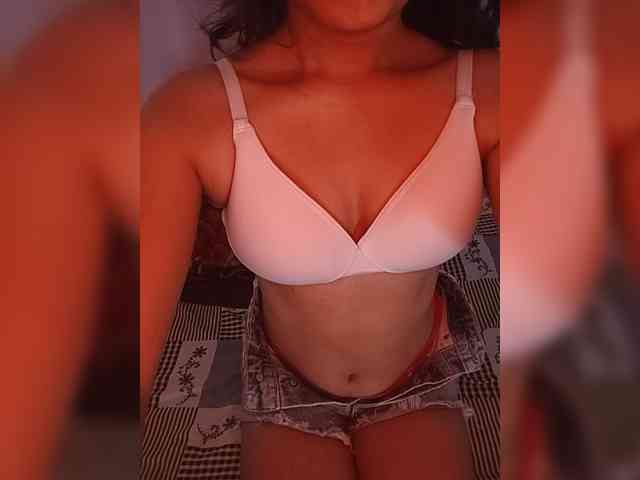 CamX1 webcam