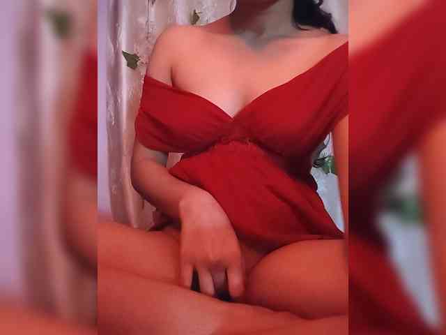 CamX1 webcam